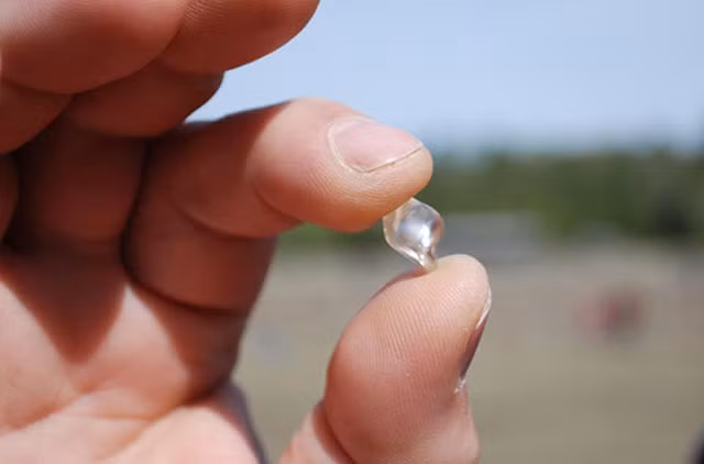 cong vien la mo kim cuong lo thien, khach du lich do xo toi dao xoi tu do hinh anh 6