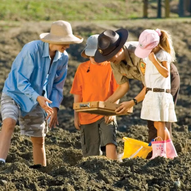 cong vien la mo kim cuong lo thien, khach du lich do xo toi dao xoi tu do hinh anh 4