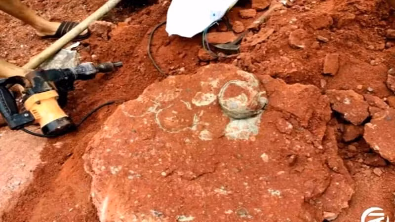  Sau khi tiếp tục đào bới, họ phát hiện thêm 10 quả nữa.