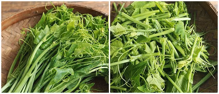 chi can 2 thao tac nay, ngon su su xao toi vua xanh vua gion, hang quan cung thua - 1