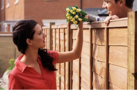 Vườn quả nhà hàng xóm bao giờ cũng đẹp...(Ảnh: MH)