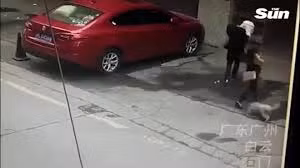 Chó từ trên trời rơi xuống trúng đầu người phụ nữ