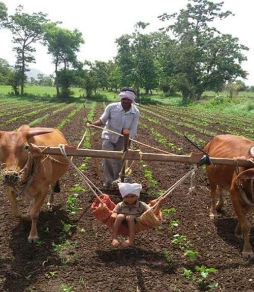 Niềm vui của những đứa trẻ nhà nông. Niềm vui của những đứa trẻ nhà nông.