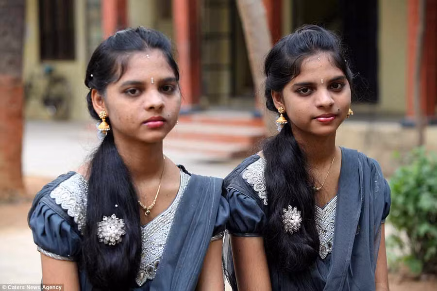 song sinh, Ấn Độ, trường học, giáo viên