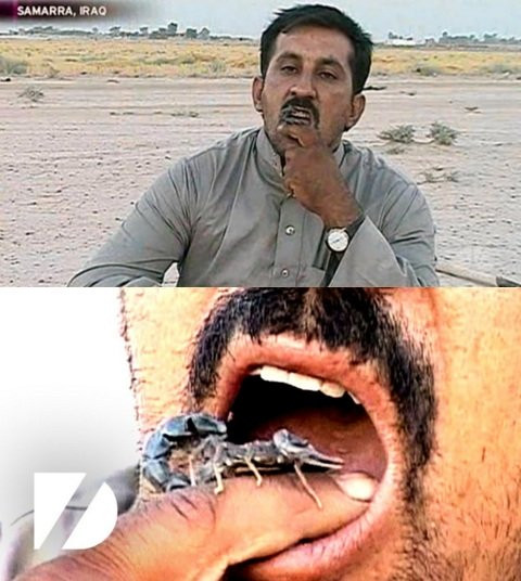 nhung di nhan an tuoi nuot song dong vat hinh anh 2