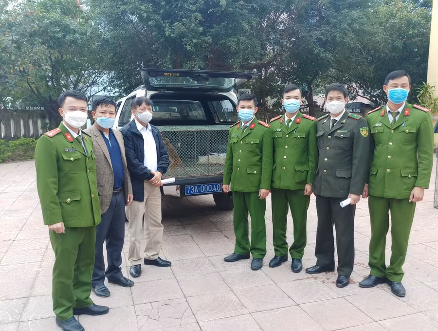 Lực lượng chức năng tiếp nhận nhiều động vật hoang dã quý hiếm.