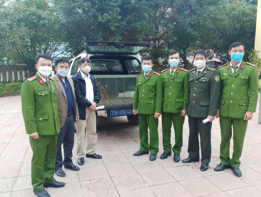Tiếp nhận nhiều động vật hoang dã quý hiếm
