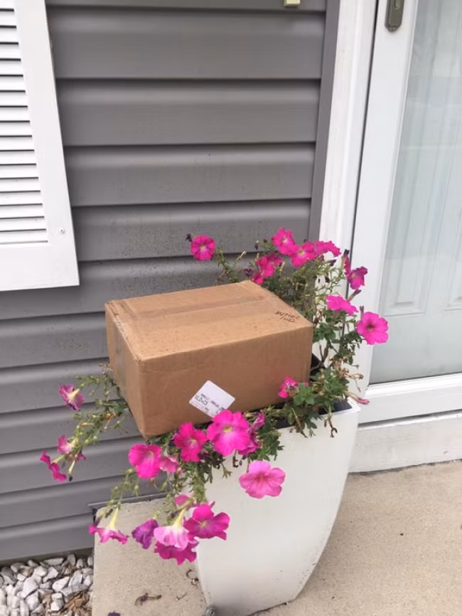 Những hình ảnh khiến người theo chủ nghĩa hoàn hảo cảm thấy tan nát cõi lòng - Ảnh 16.