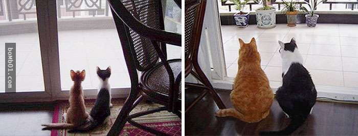 thu cung blogtin (7)