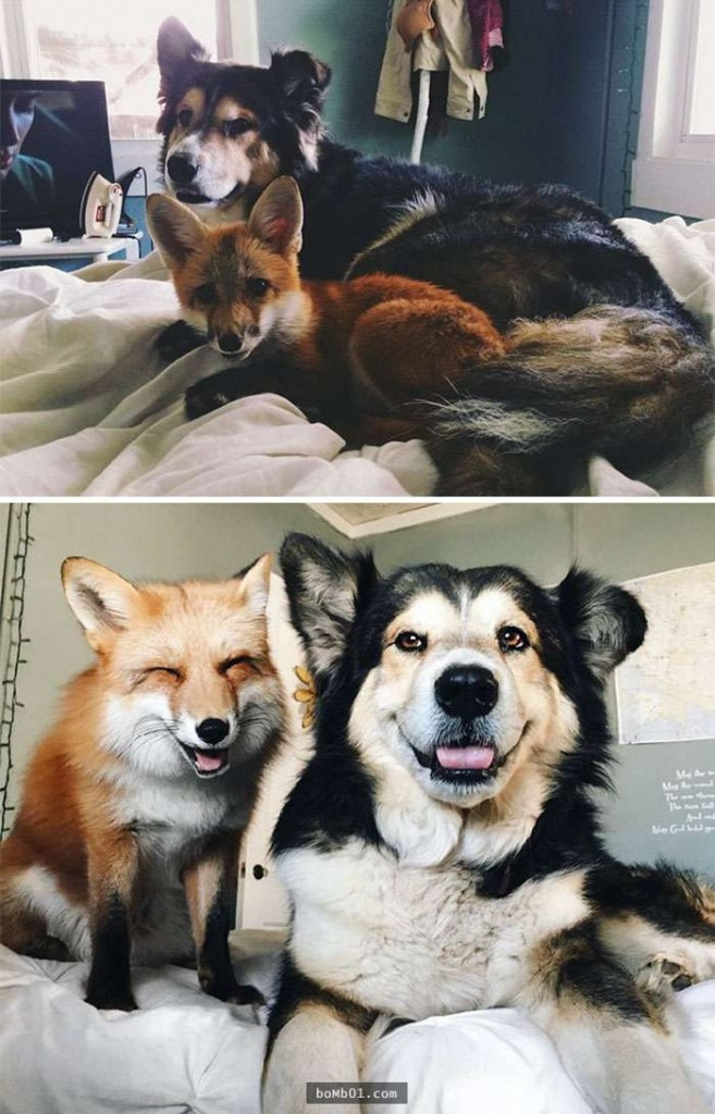 thu cung blogtin (2)