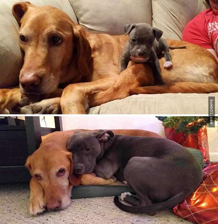 thu cung blogtin (12)