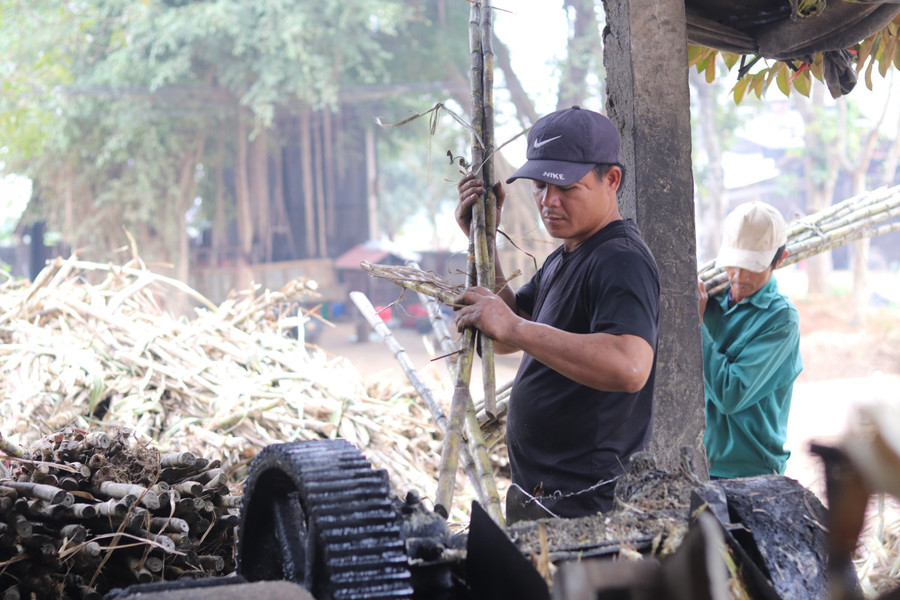 Mỗi vụ Tết, người dân ở “thủ phủ” mật mía cho ra lò hàng trăm tấn mật để phục vụ thị trường. Riêng vụ Tết, nhiều gia đình nơi đây có thể thu về từ 20-30 triệu đồng, hộ nào làm lớn có thể cho thu nhập 50-60 triệu đồng. Mỗi vụ Tết, người dân ở “thủ phủ” mật mía cho ra lò hàng trăm tấn mật để phục vụ thị trường. Riêng vụ Tết, nhiều gia đình nơi đây có thể thu về từ 20-30 triệu đồng, hộ nào làm lớn có thể cho thu nhập 50-60 triệu đồng.