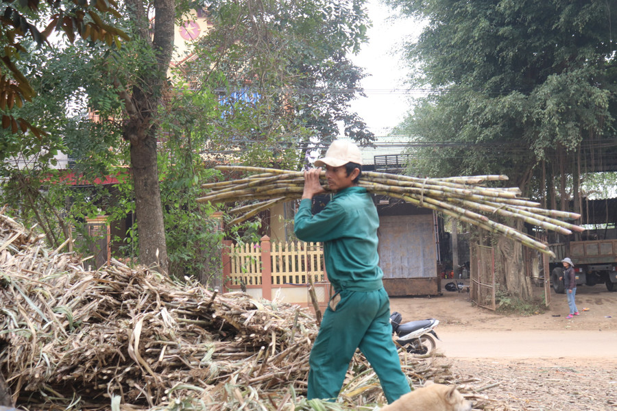 Cứ mỗi dịp Tết đến, làng nghề làm mật mía ở đây lại tất bật làm xuyên ngày đêm để có đủ sản phẩm cung ứng ra thị trường. Cứ mỗi dịp Tết đến, làng nghề làm mật mía ở đây lại tất bật làm xuyên ngày đêm để có đủ sản phẩm cung ứng ra thị trường.