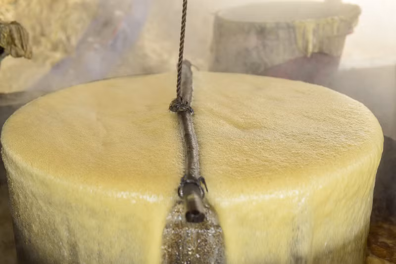 Để chế biến được một lít mật là cả quá trình phức tạp và tốn nhiều công sức, công đoạn vất vả nhất là ép mía. Theo những người thợ, trung bình một tấn mía nguyên liệu sau quá trình đun nấu sẽ cho ra một tạ mật thành phẩm. Để chế biến được một lít mật là cả quá trình phức tạp và tốn nhiều công sức, công đoạn vất vả nhất là ép mía. Theo những người thợ, trung bình một tấn mía nguyên liệu sau quá trình đun nấu sẽ cho ra một tạ mật thành phẩm.