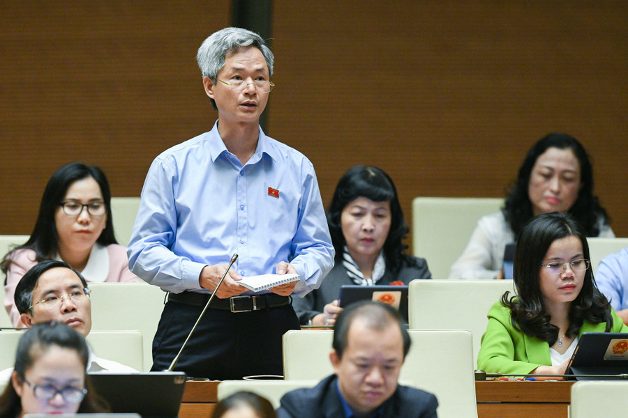 Đại biểu Đào Hồng Vận.