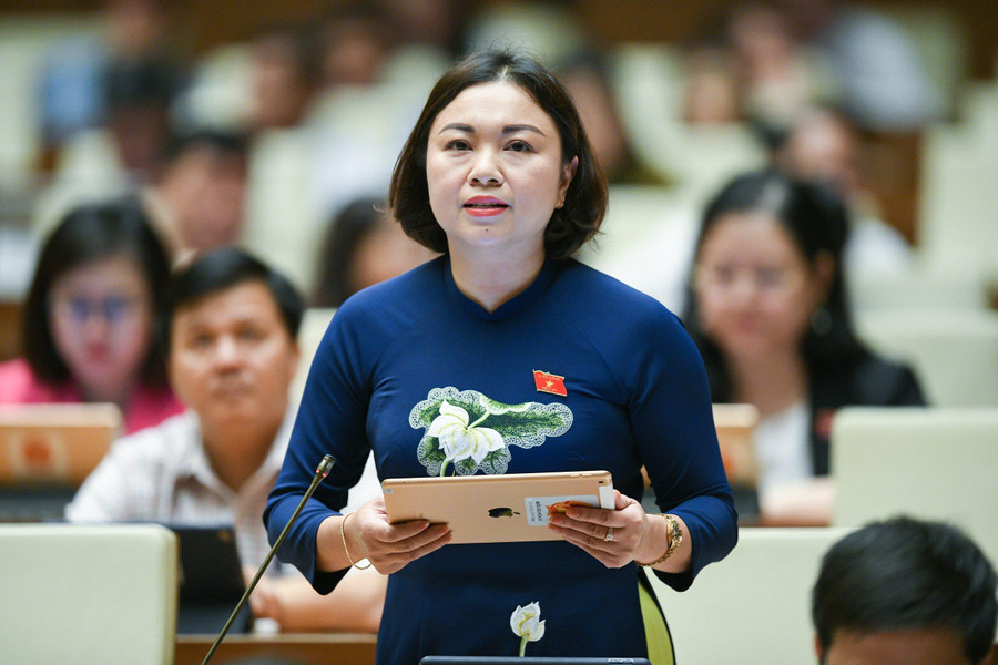 Đại biểu Đặng Bích Ngọc – Đoàn ĐBQH tỉnh Hoà Bình