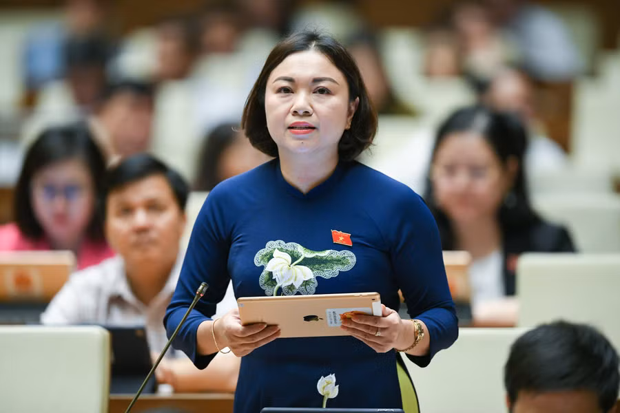 Đại biểu Đặng Bích Ngọc – Đoàn ĐBQH tỉnh Hoà Bình