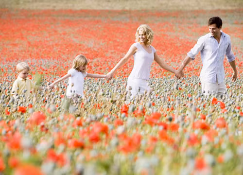 Ảnh: MH (nguồn Internet)