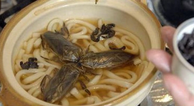 Chủ nhà hàng trả lời “bá đạo” khi khách tố có gián trong đồ ăn