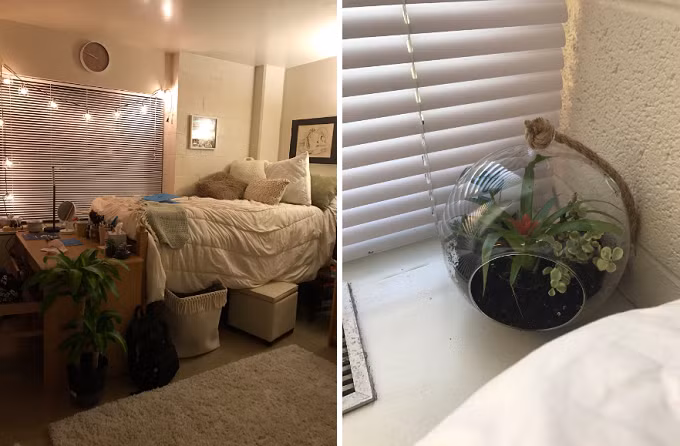 Những ký túc xá "thiên đường" của nữ sinh Mỹ 