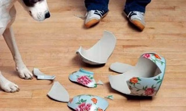 con gai lam vo binh hoa, vo phat hien bi mat chong giau giem suot 13 nam - 1