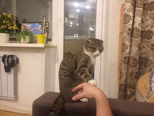 Xin đừng chạm vào tôi.