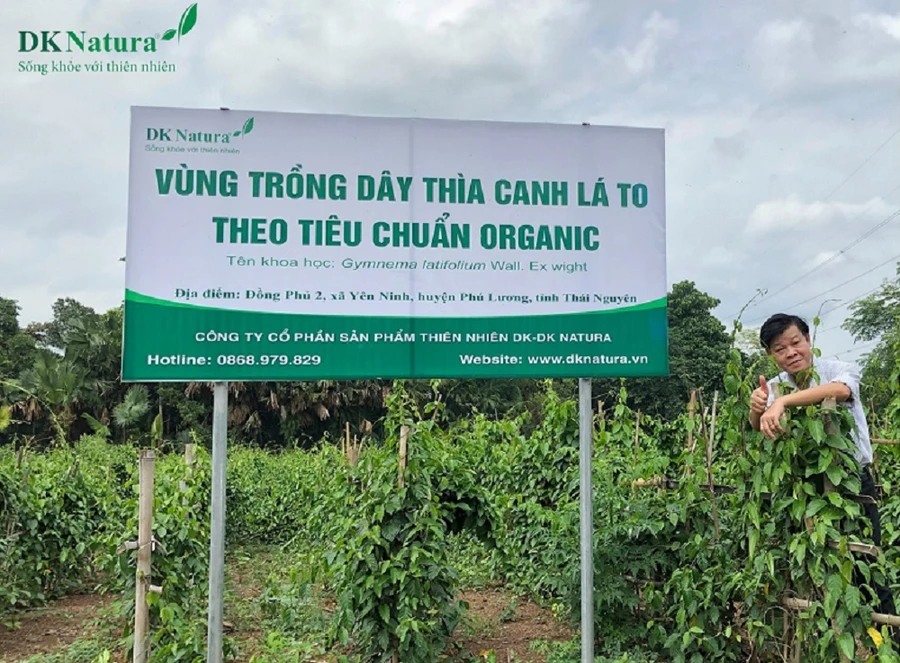 Hướng đi mới phát triển các sản phẩm OCOP ở Thái Nguyên.