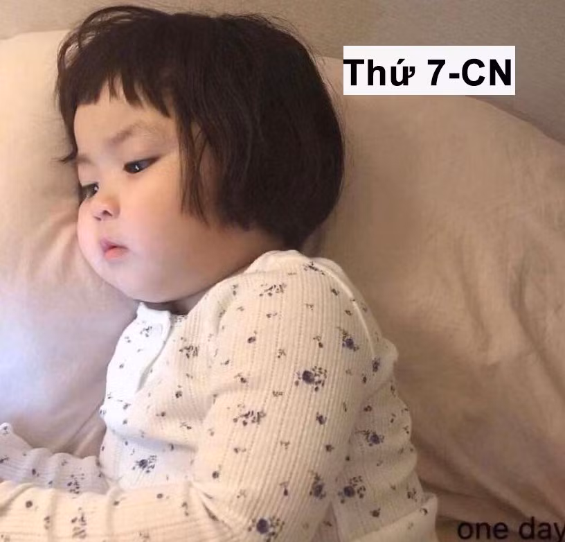 Thứ 7, CN: Giải trí.