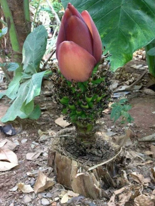 “Đau đầu” với những hình ảnh “thần thánh” khó tin ảnh 6