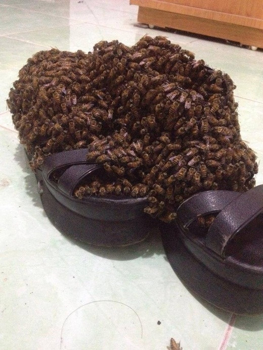 “Đau đầu” với những hình ảnh “thần thánh” khó tin ảnh 7