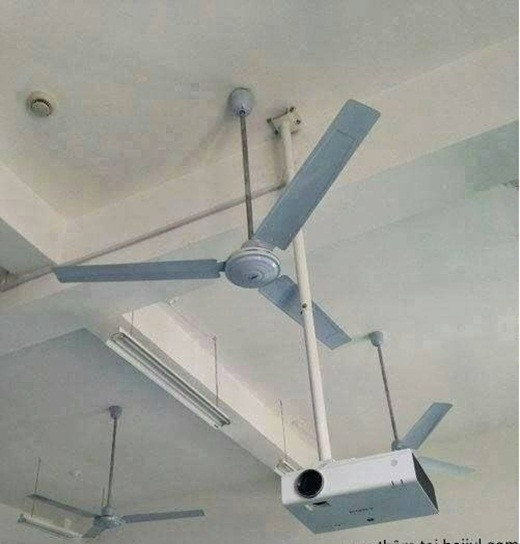 “Đau đầu” với những hình ảnh “thần thánh” khó tin ảnh 1