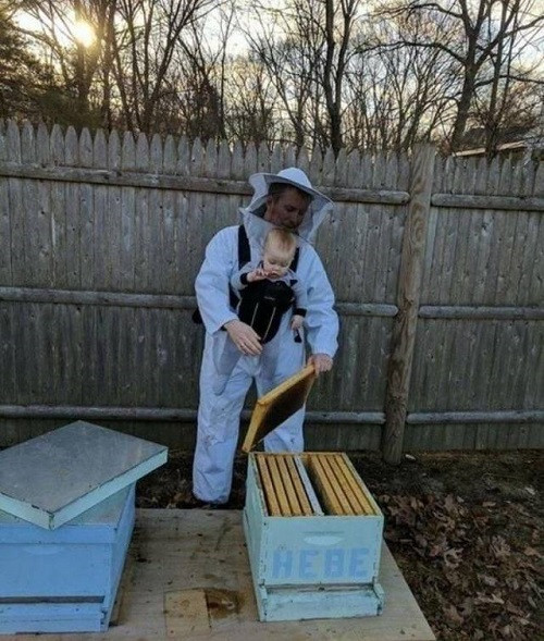 Ông bố của năm.