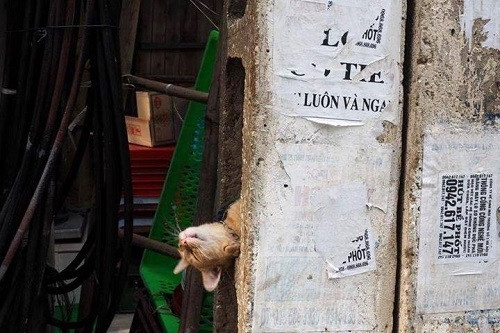 10-anh-hai-hot-nhat-facebook-trong-ngay-4