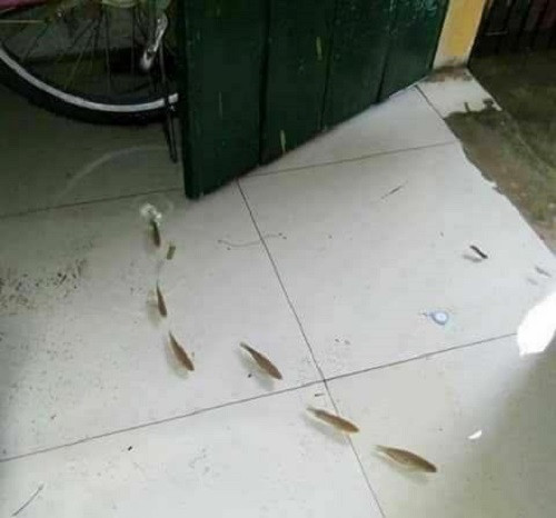 10-anh-hai-hot-nhat-facebook-trong-ngay-8