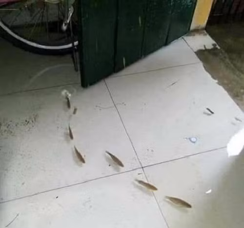 10-anh-hai-hot-nhat-facebook-trong-ngay-8