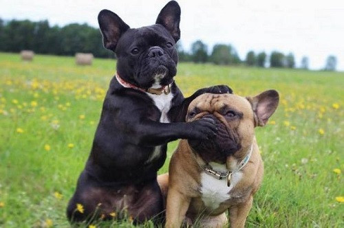 10-anh-hai-hot-nhat-facebook-trong-ngay-4