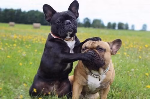 10-anh-hai-hot-nhat-facebook-trong-ngay-4