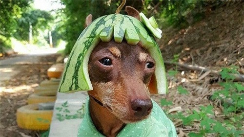 10-anh-hai-hot-nhat-facebook-trong-ngay-6