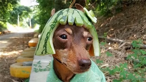 10-anh-hai-hot-nhat-facebook-trong-ngay-6