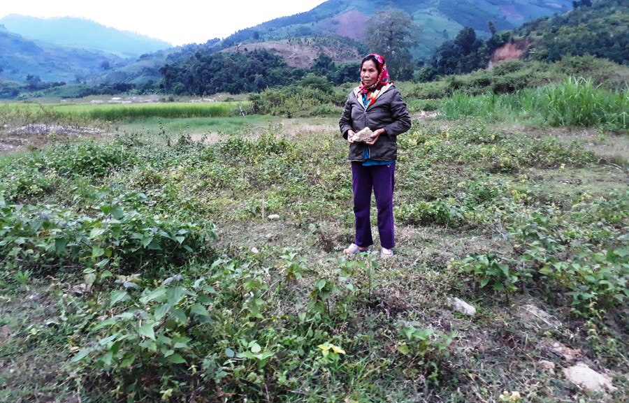Bà Y Tun đến nay vẫn chưa biết làm gì kiếm sống khi đất đã bị hoang hóa