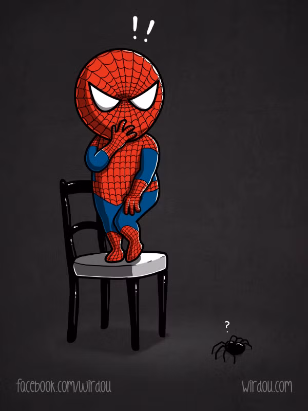 Với cách này, bạn sẽ loại bỏ nỗi sợ nhện chỉ trong 2 phút ảnh 6