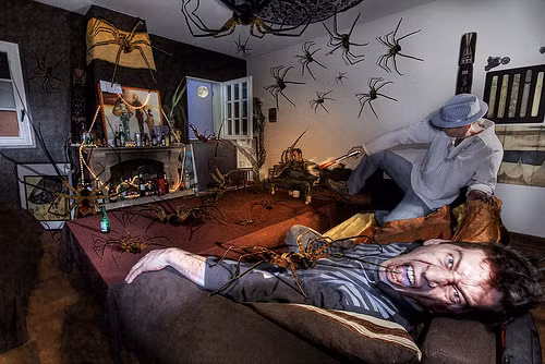  Bạn có phải là người sợ nhện? 