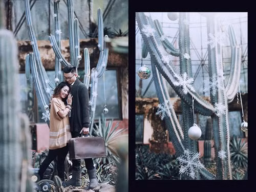 Bộ ảnh cưới độc - lạ bên cây Noel "bản xương rồng" cặp đôi Hà Thành ảnh 2