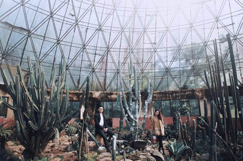 Bộ ảnh cưới độc - lạ bên cây Noel "bản xương rồng" cặp đôi Hà Thành ảnh 12