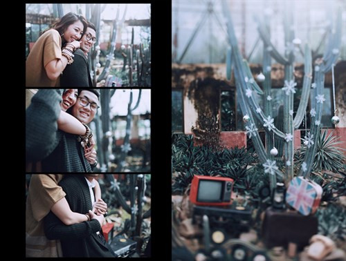Bộ ảnh cưới độc - lạ bên cây Noel "bản xương rồng" cặp đôi Hà Thành ảnh 13