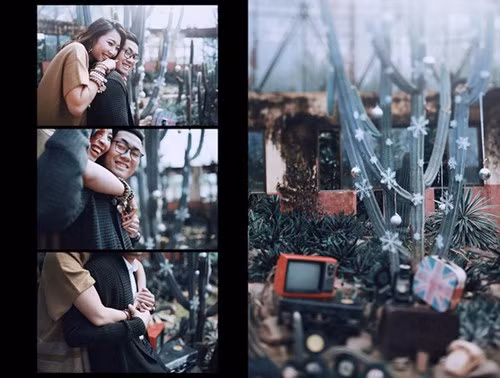 Bộ ảnh cưới độc - lạ bên cây Noel "bản xương rồng" cặp đôi Hà Thành ảnh 13