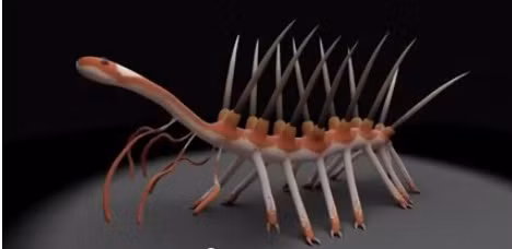 10 động vật kỳ lạ chưa kịp thấy, đã tuyệt chủng ảnh 7