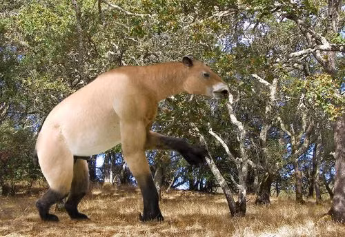 10 động vật kỳ lạ chưa kịp thấy, đã tuyệt chủng ảnh 8