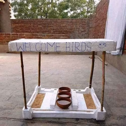 Nhà nghỉ của chim mùa nắng nóng.