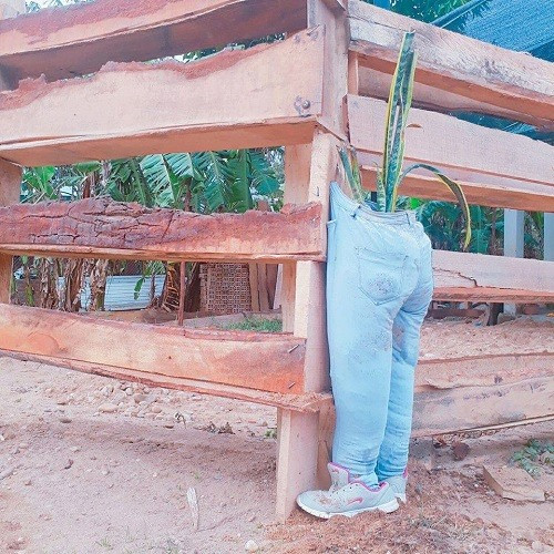 Sáng kiến bá đạo.